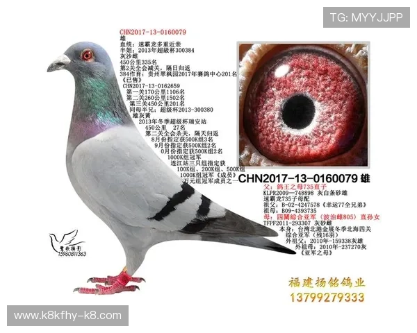 如何在AG中国官方网站注册账号并享受多重权益 如何在AG中国官方网站注册账号并享受多重权益