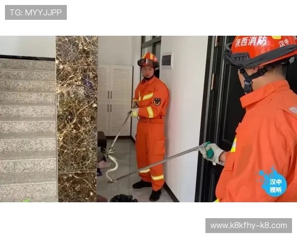 K8真人厅的技术保障与安全措施详解,确保每一位玩家的资金与信息安全 K8真人厅的技术保障与安全措施详解,确保每一位玩家的资金与信息安全