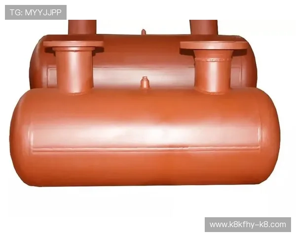 凯发彩票官网游戏种类与特色玩法介绍满足不同玩家多样需求