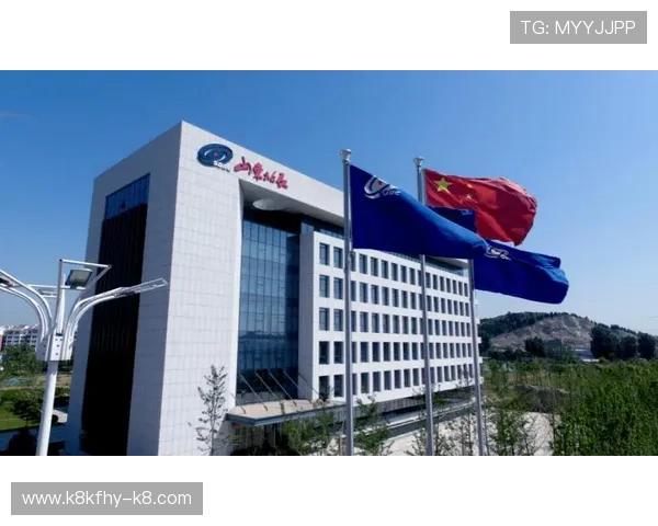 凯发电气拟定增募资3亿元增强市场竞争力实现可持续发展目标