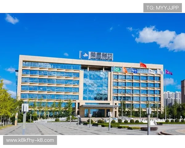 凯发集团简介：合作伙伴关系与战略联盟概览